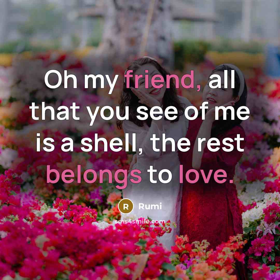 “Oh my friend, all that you see of me is a shell, the rest belongs to love.” quote by Rumi