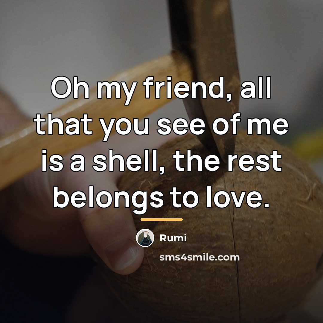 “Oh my friend, all that you see of me is…” quote by Rumi