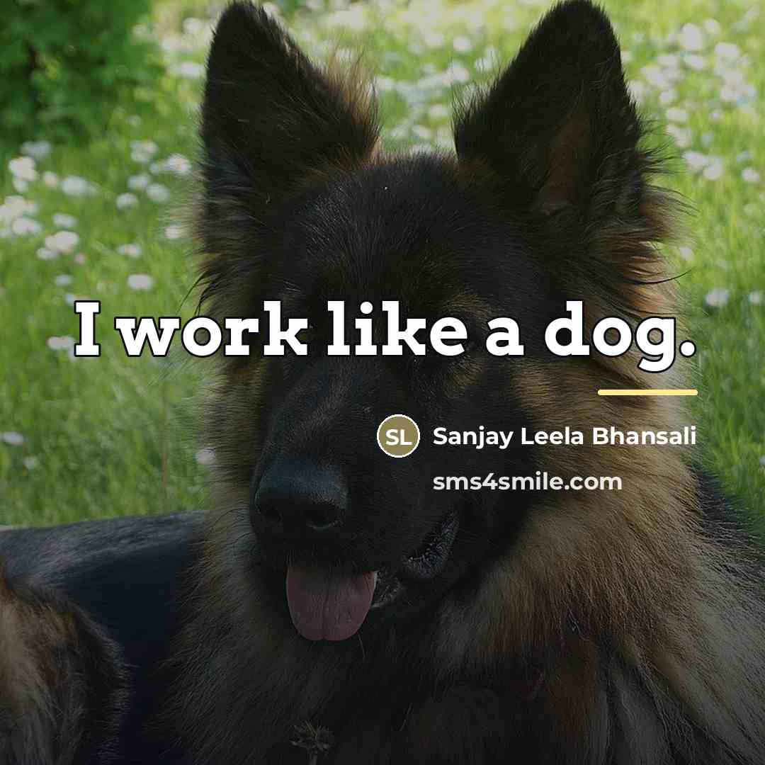 “I work like a dog.…” quote by Sanjay Leela Bhansali