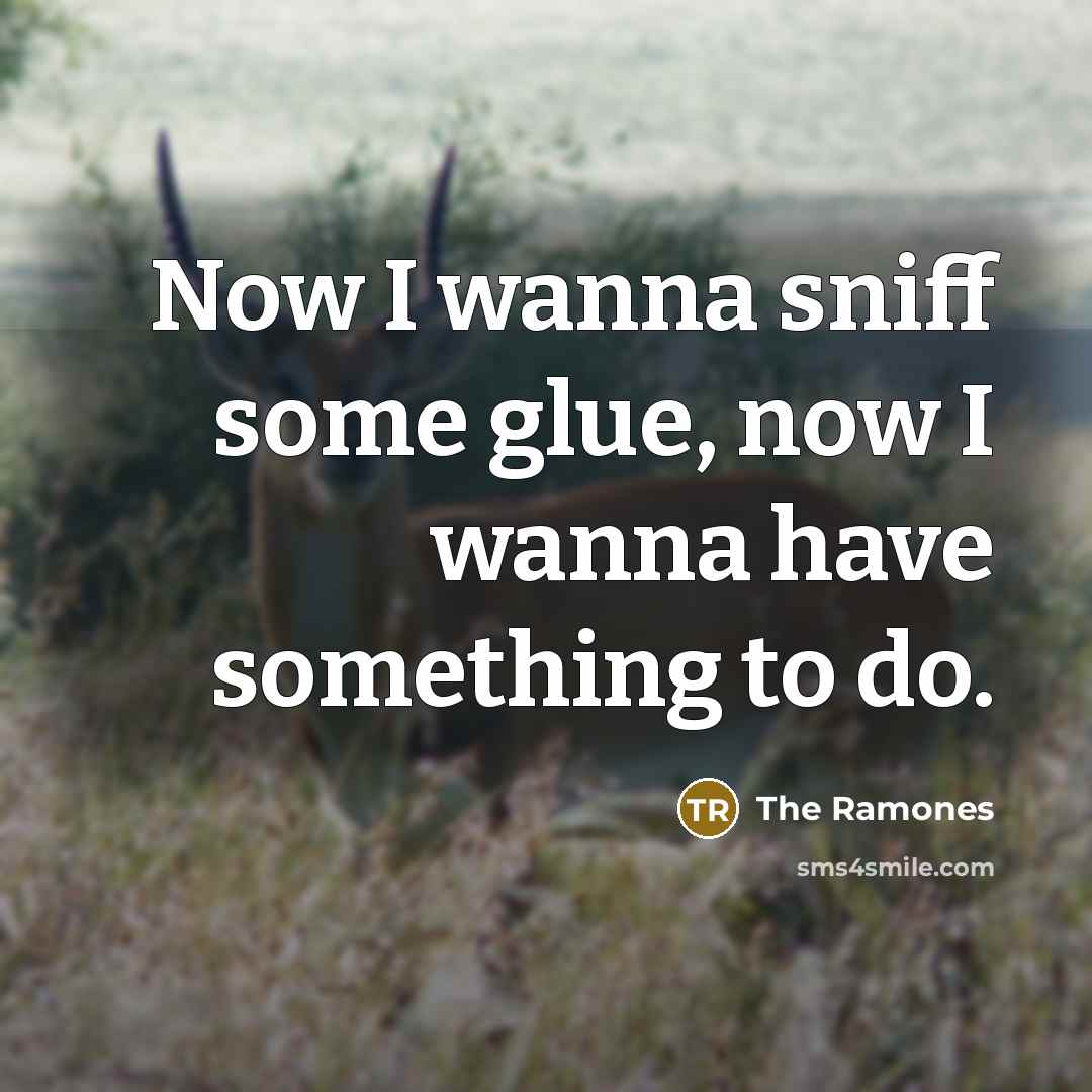“Now I wanna sniff some glue, now I wanna have…” quote by The Ramones