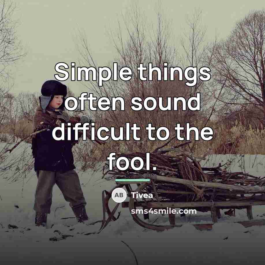“Simple things often sound difficult to the fool.…” quote by Tivea