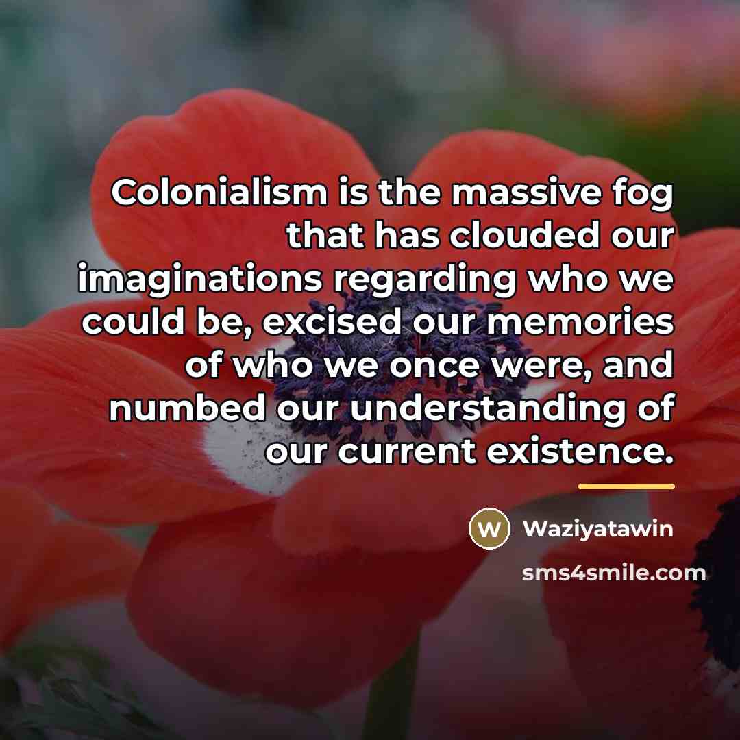 “Colonialism is the massive fog that has clouded our imaginations…” quote by Waziyatawin