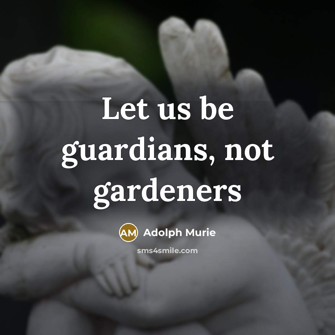 “Let us be guardians, not gardeners…” quote by Adolph Murie