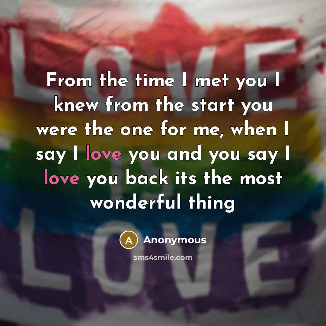 “From the time I met you I knew from the start you were the one for me, when I say I love you and you say I love you back its the most wonderful thing” quote by Anonymous