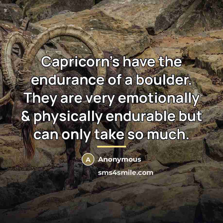 “Capricorn's have the endurance of a boulder. They are very…” quote by Anonymous