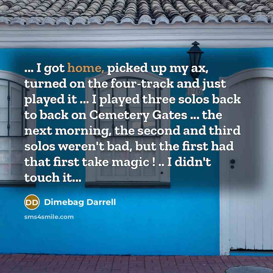 “... I got home, picked up my ax, turned on…” quote by Dimebag Darrell