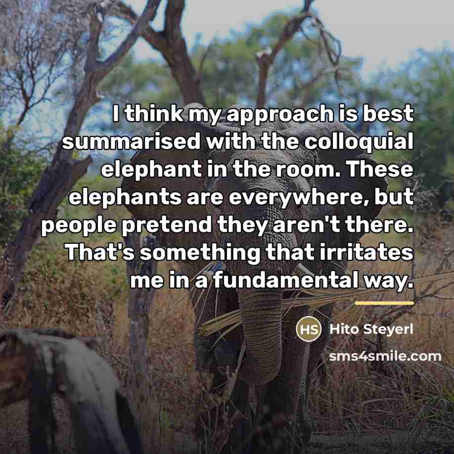 “I think my approach is best summarised with the colloquial…” quote by Hito Steyerl