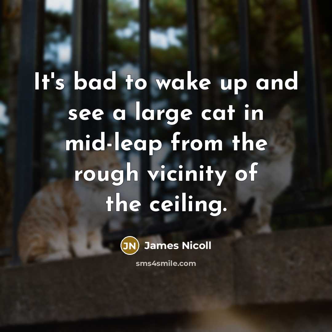 “It's bad to wake up and see a large cat…” quote by James Nicoll