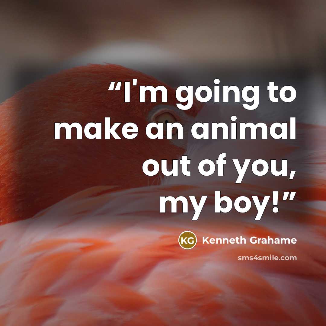 “I'm going to make an animal out of you, my boy!” quote by Kenneth Grahame