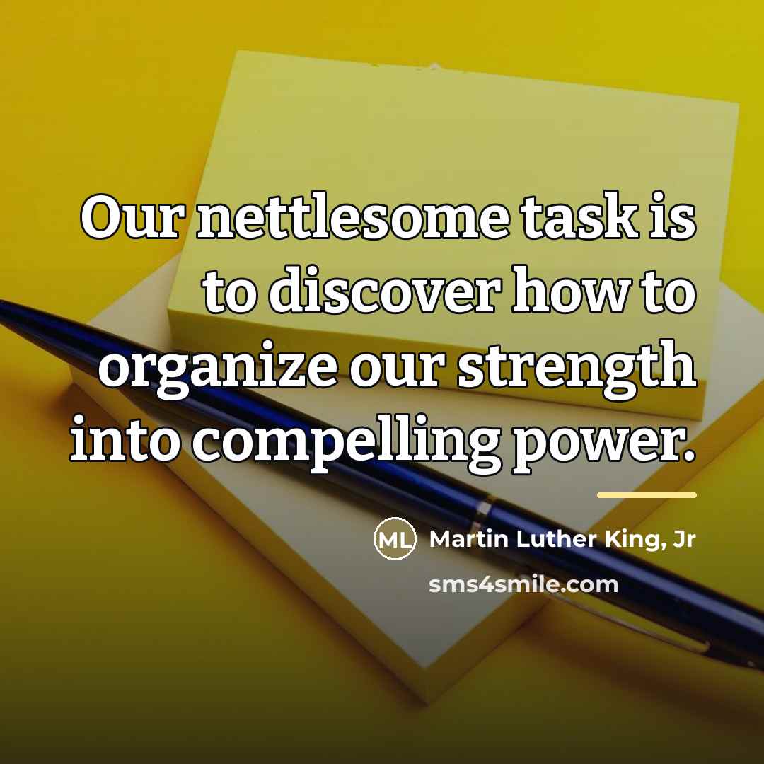 “Our nettlesome task is to discover how to organize our…” quote by Martin Luther King, Jr