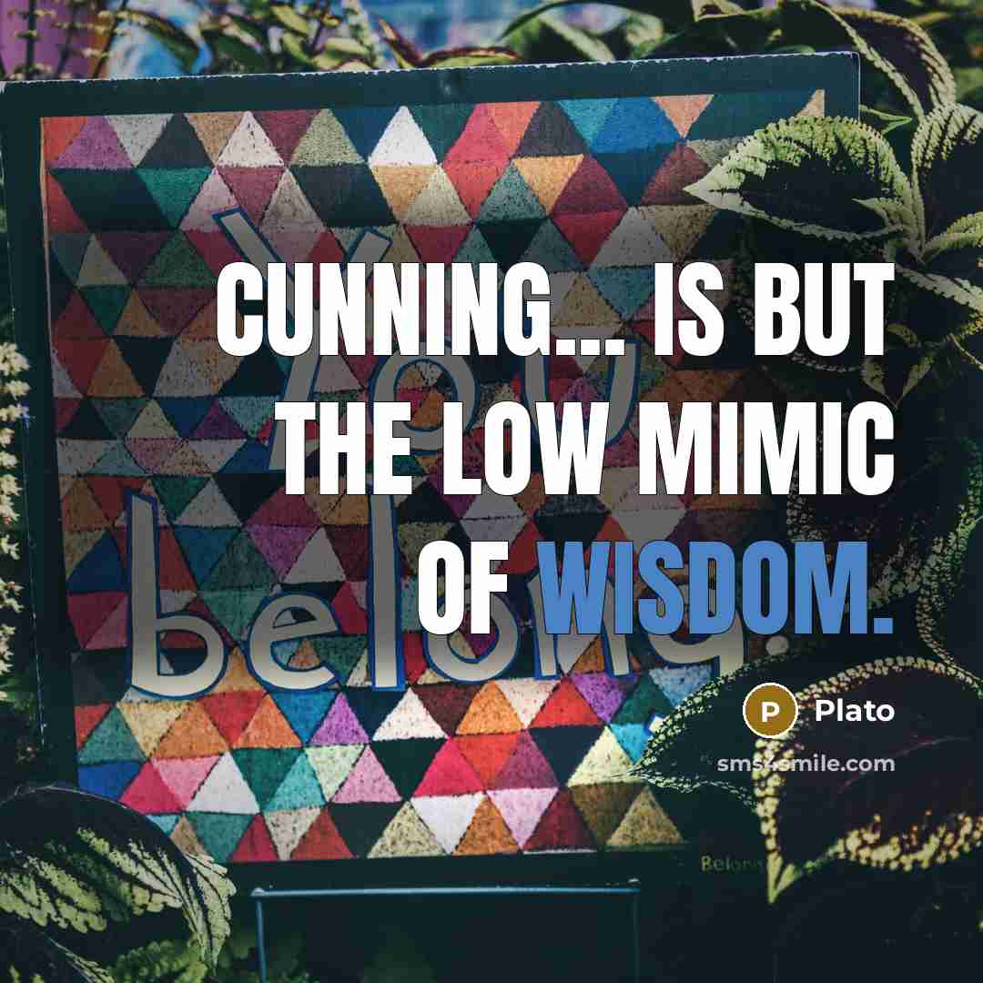 “Cunning... is but the low mimic of wisdom.…” quote by Plato