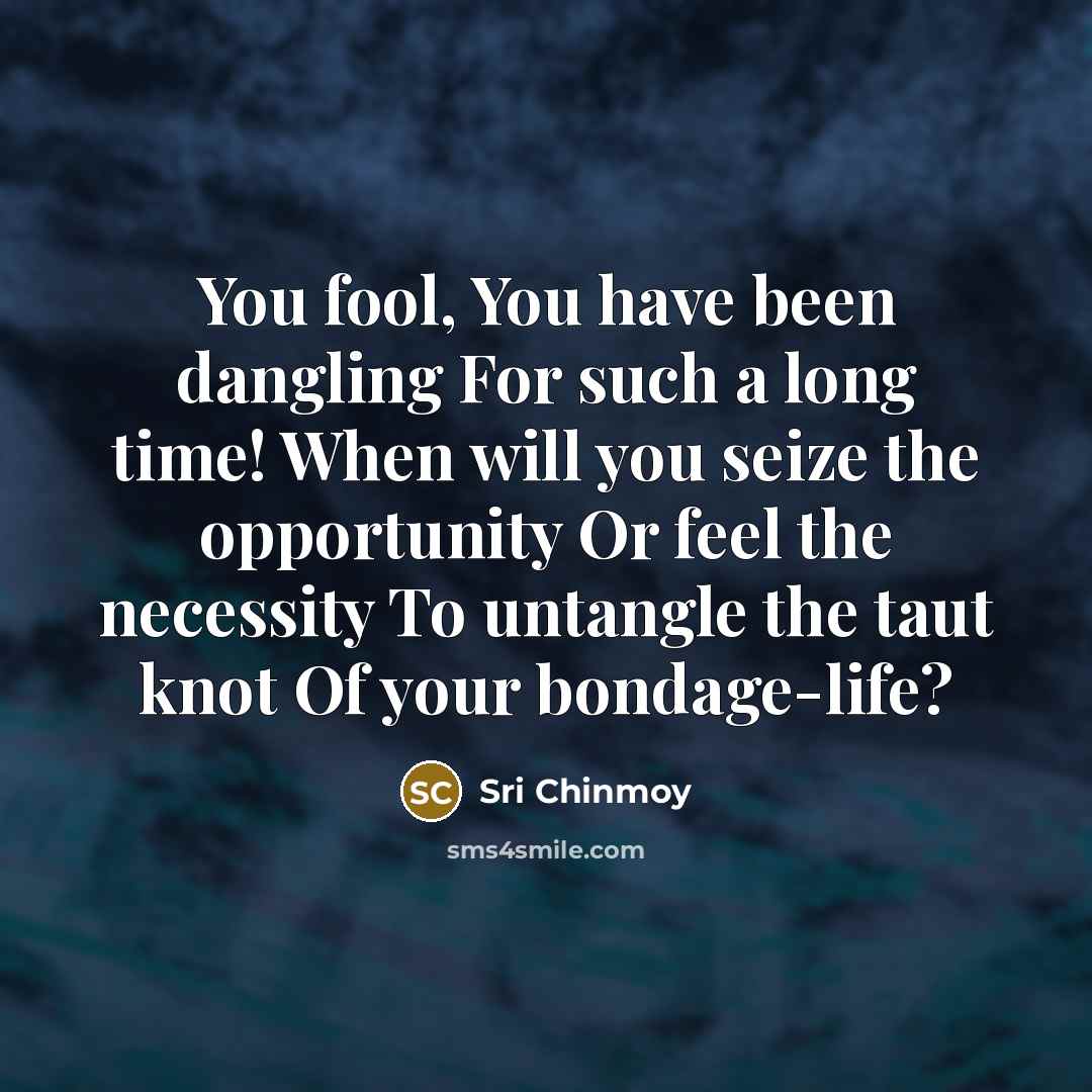 “You fool, You have been dangling For such a long…” quote by Sri Chinmoy