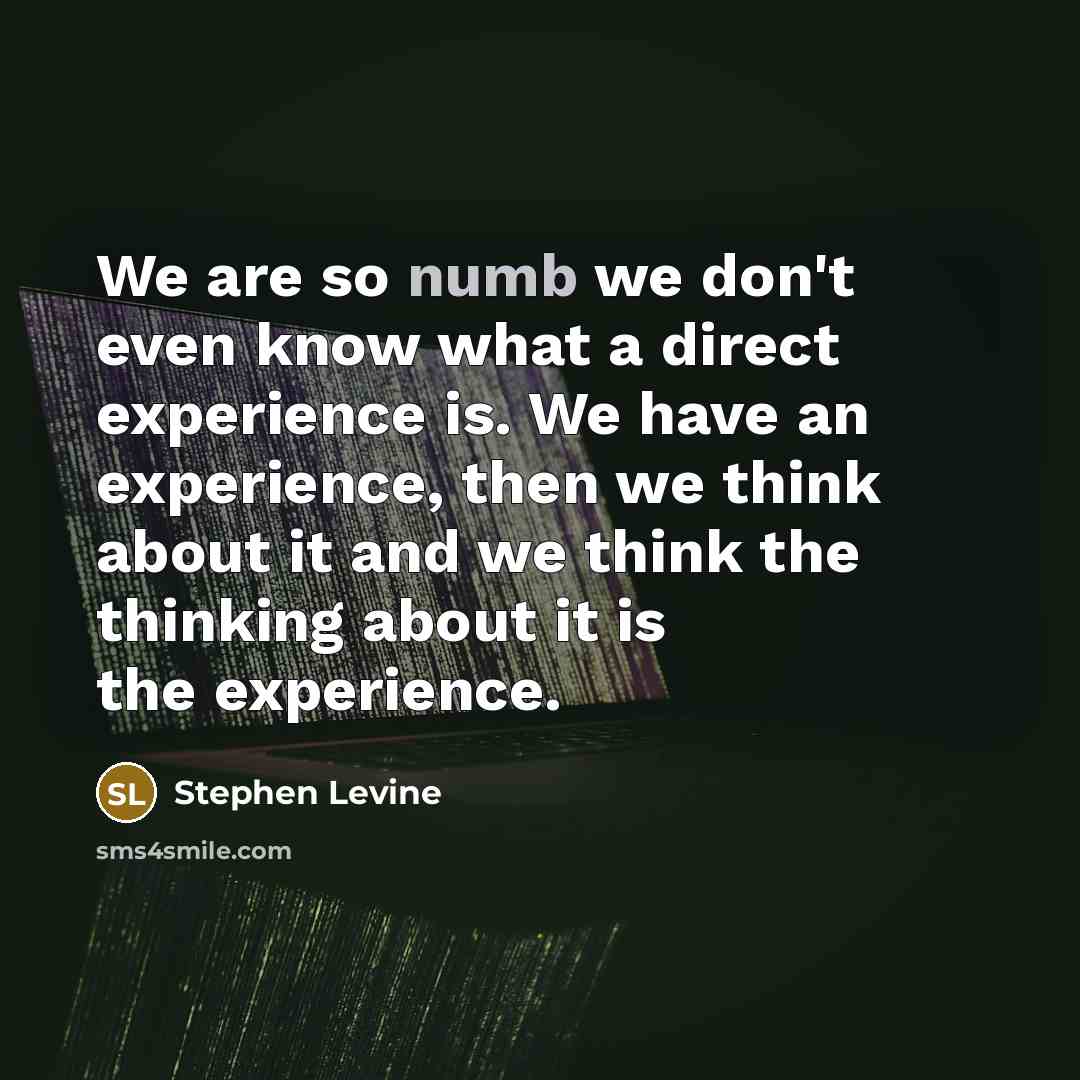 “We are so numb we don't even know what a…” quote by Stephen Levine