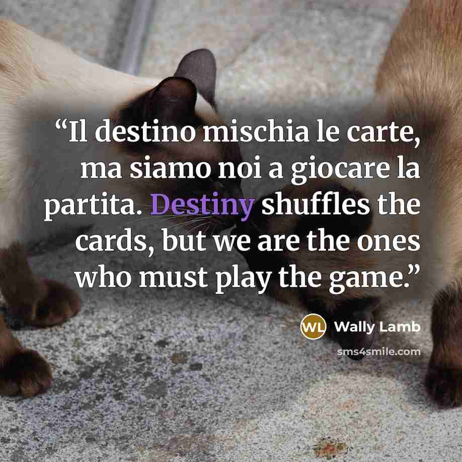 “Il destino mischia le carte, ma siamo noi a giocare la partita. Destiny shuffles the cards, but we are the ones who must play the game.” quote by Wally Lamb