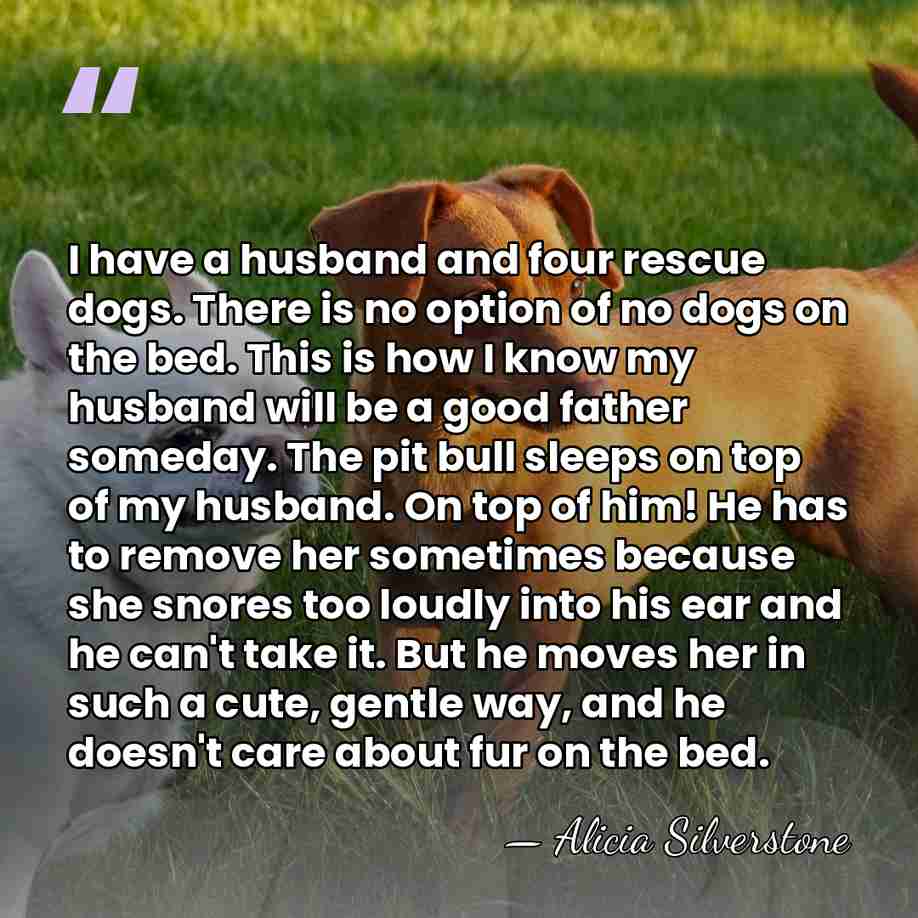 I have a husband and four rescue dogs. There is no option&hellip; - Alicia Silverstone