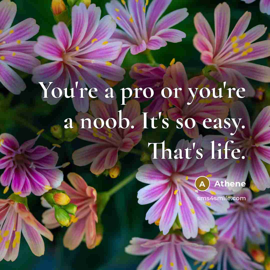 “You're a pro or you're a noob. It's so easy.…” quote by Athene