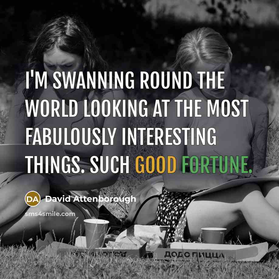 “I'm swanning round the world looking at the most fabulously…” quote by David Attenborough