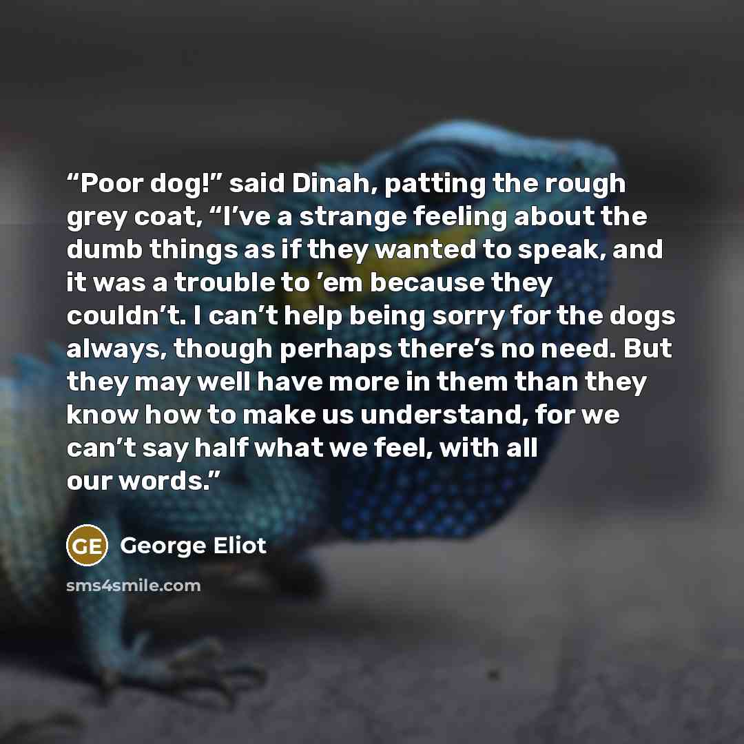 “Poor dog!” said Dinah, patting the rough grey coat, “I’ve a strange feeling about the dumb things as if they wanted to speak, and it was a trouble to ’em because they couldn’t. I can’t help being sorry for the dogs always, though perhaps there’s no need. But they may well have more in them than…” quote by George Eliot