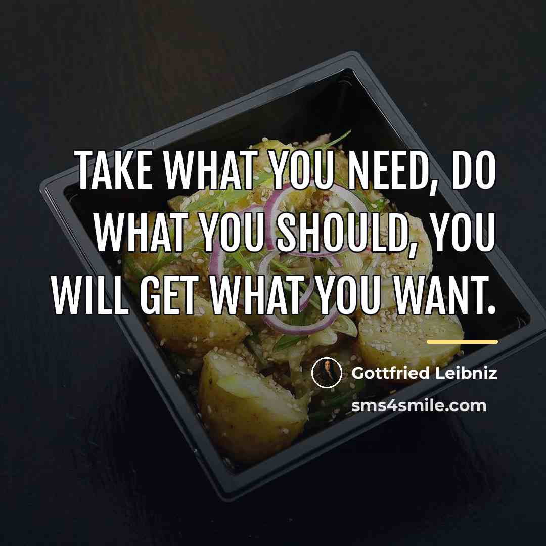 “Take what you need, do what you should, you will…” quote by Gottfried Leibniz