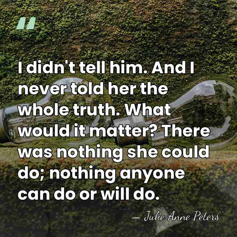 I didn't tell him. And I never told her the whole truth.&hellip; - Julie Anne Peters