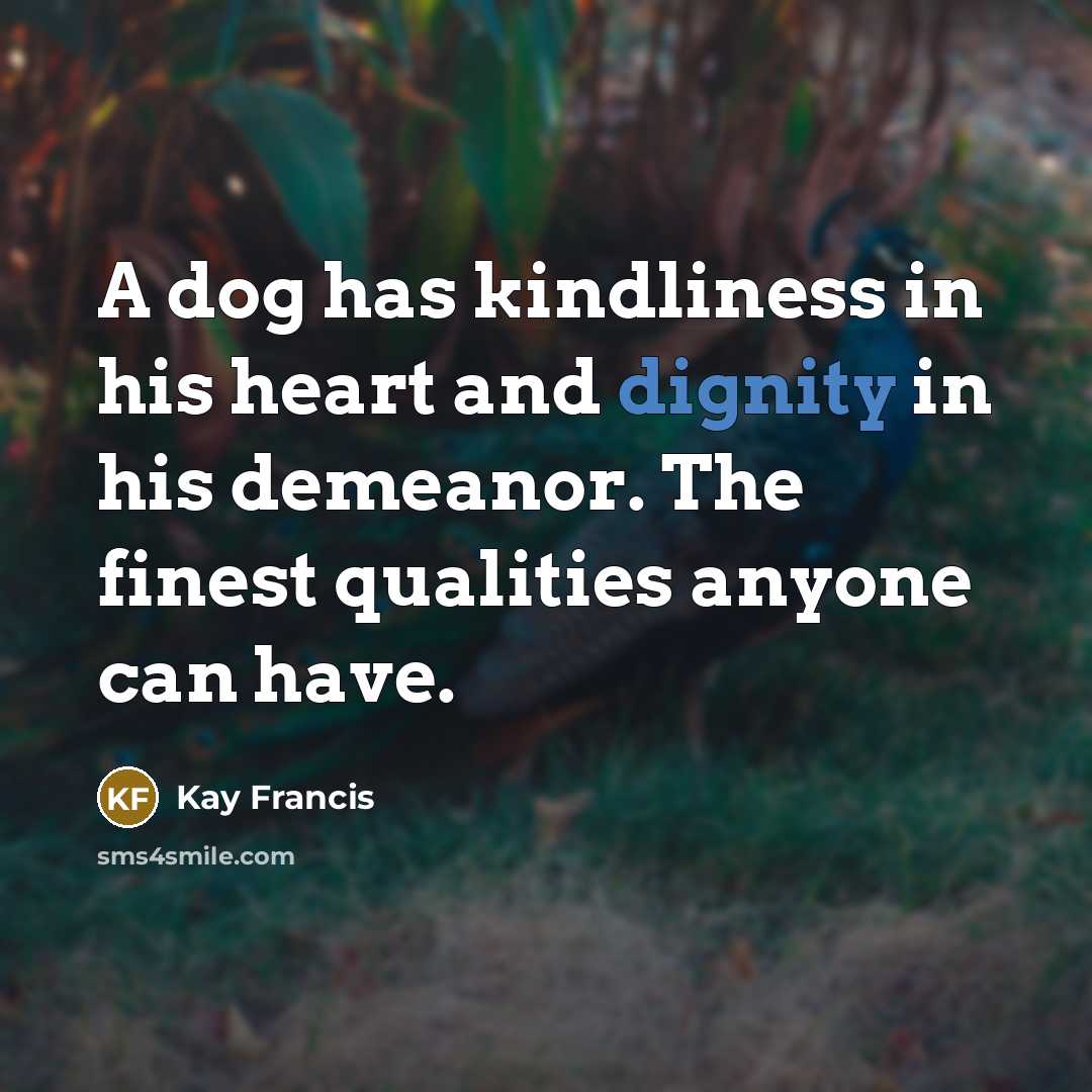 “A dog has kindliness in his heart and dignity in his demeanor. The finest qualities anyone can have.” quote by Kay Francis