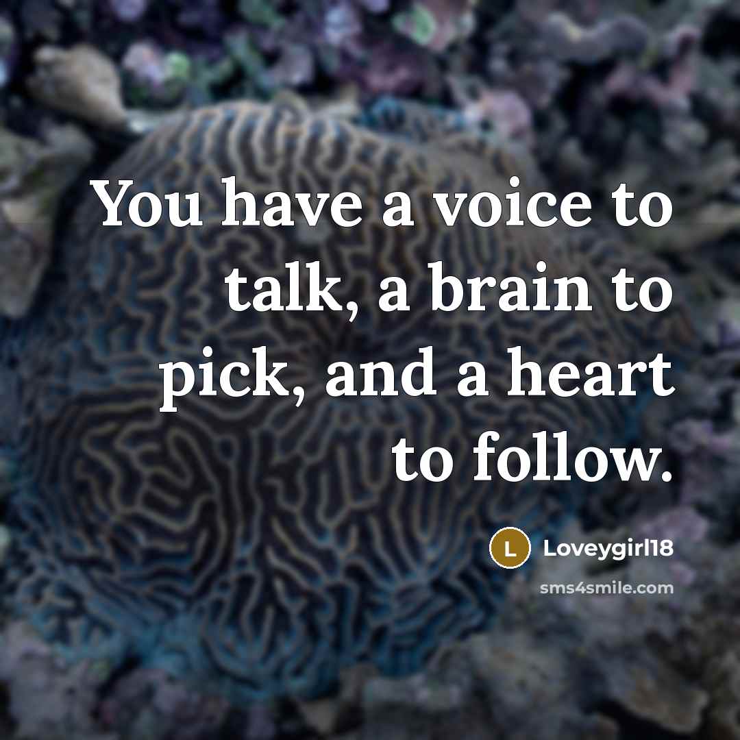“You have a voice to talk, a brain to pick, and a heart to follow.” quote by Loveygirl18