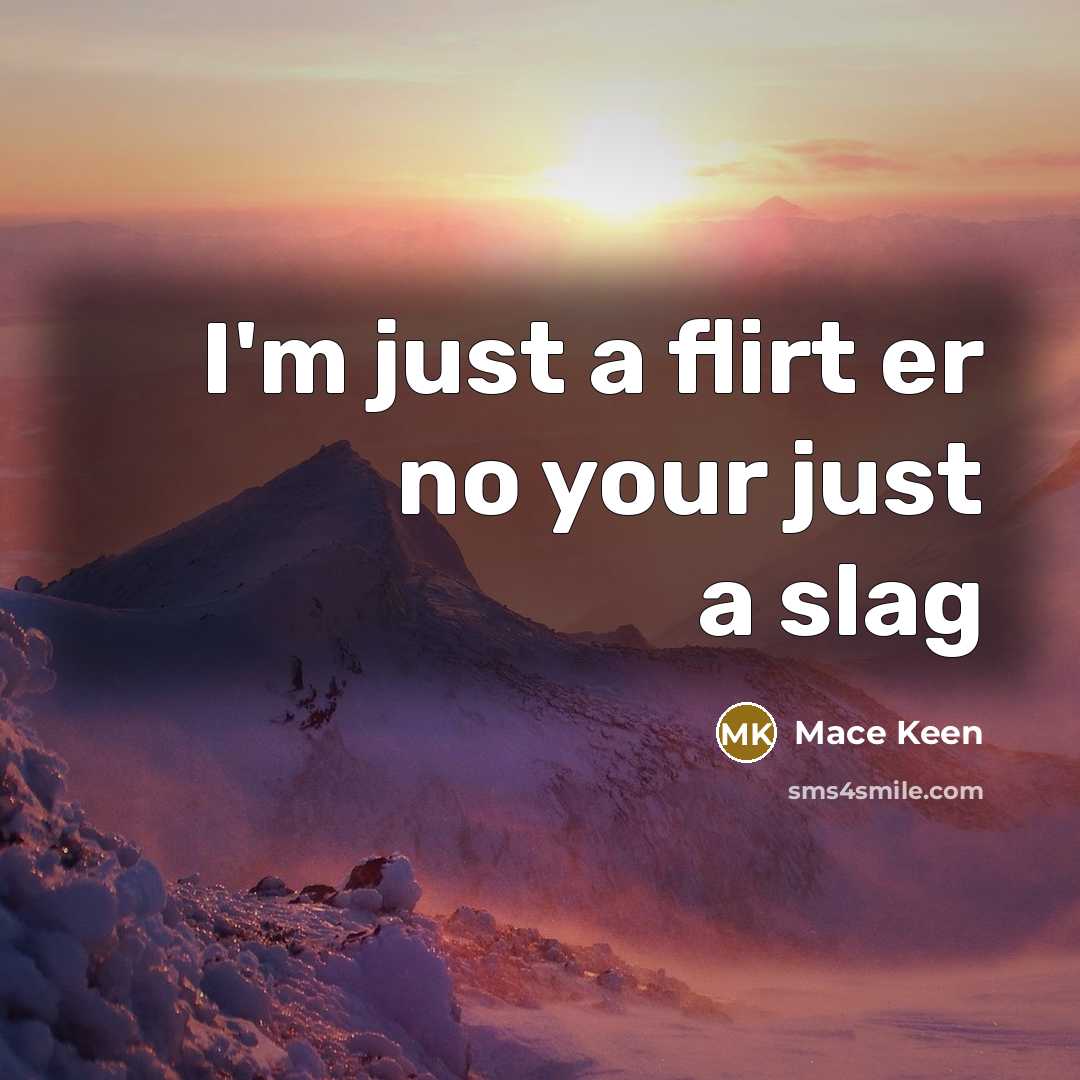 “I'm just a flirt er no your just a slag” quote by Mace Keen