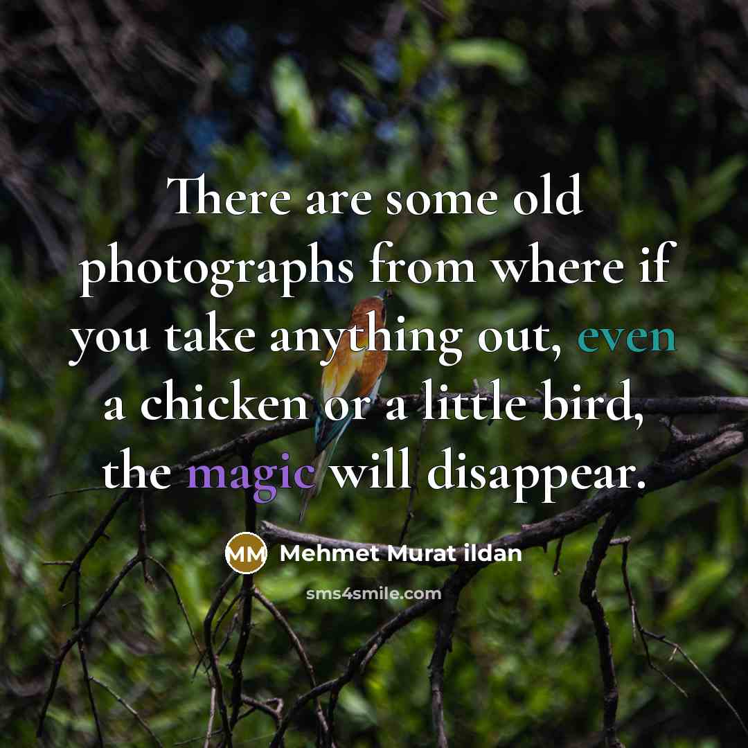 “There are some old photographs from where if you take…” quote by Mehmet Murat Ildan