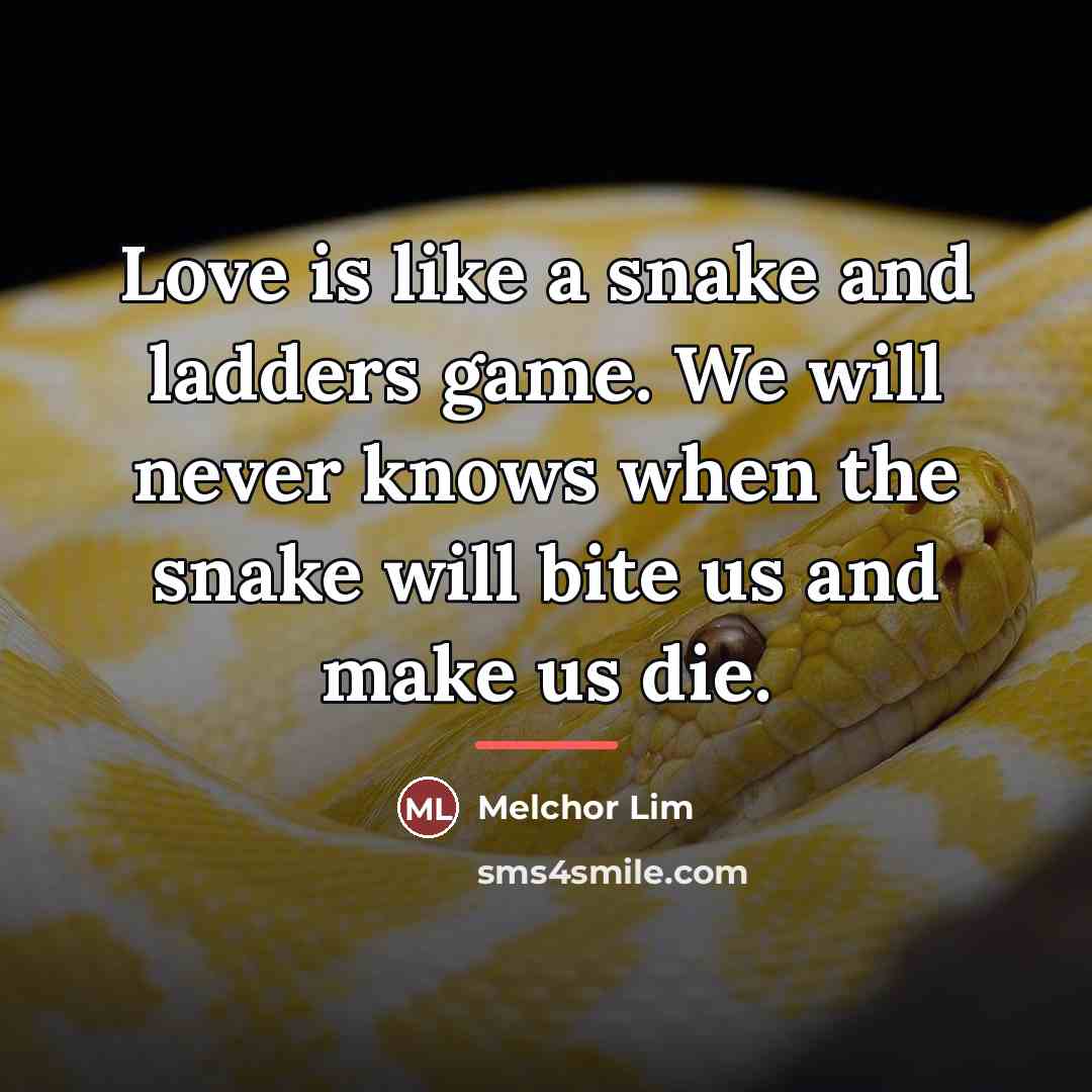 “Love is like a snake and ladders game. We will…” quote by Melchor Lim