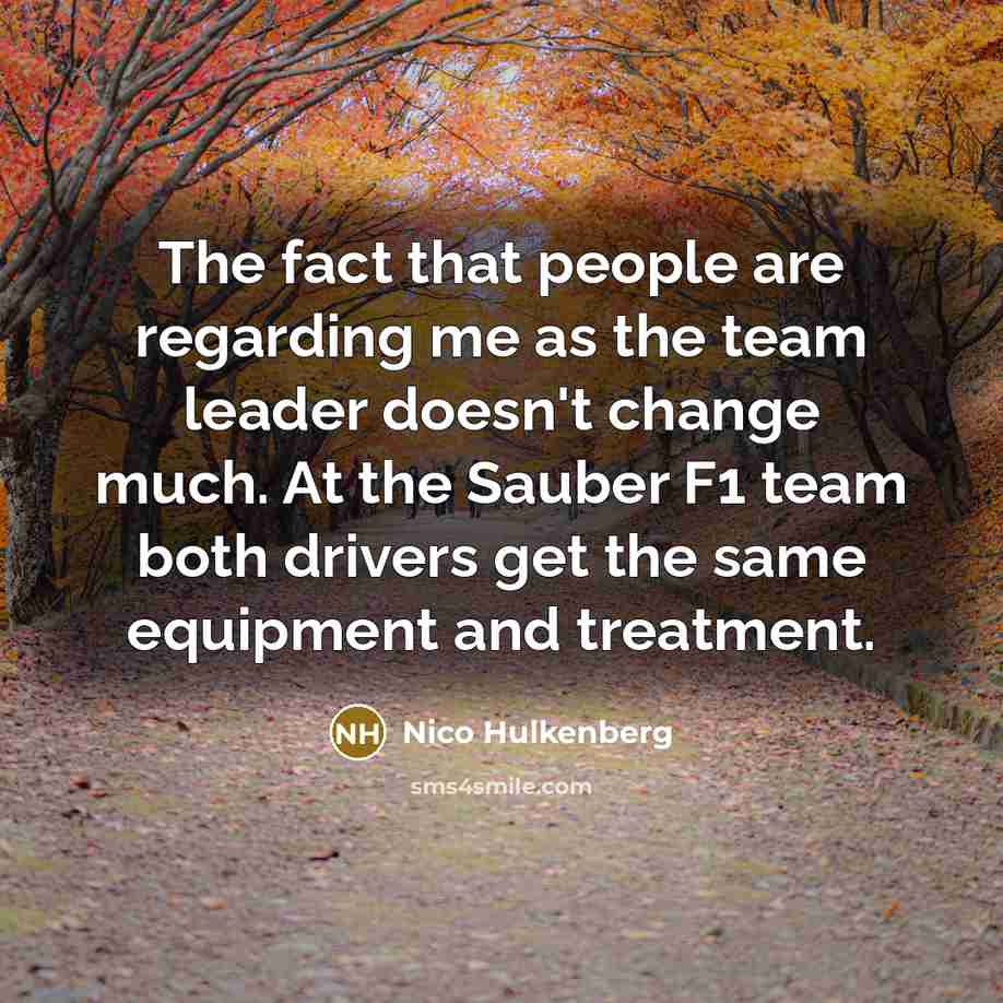 “The fact that people are regarding me as the team…” quote by Nico Hulkenberg