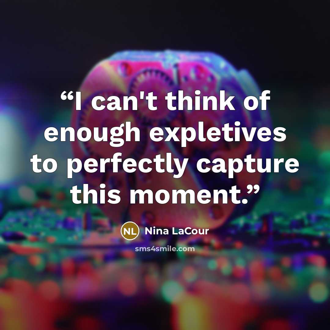 “I can't think of enough expletives to perfectly capture this moment.” quote by Nina LaCour