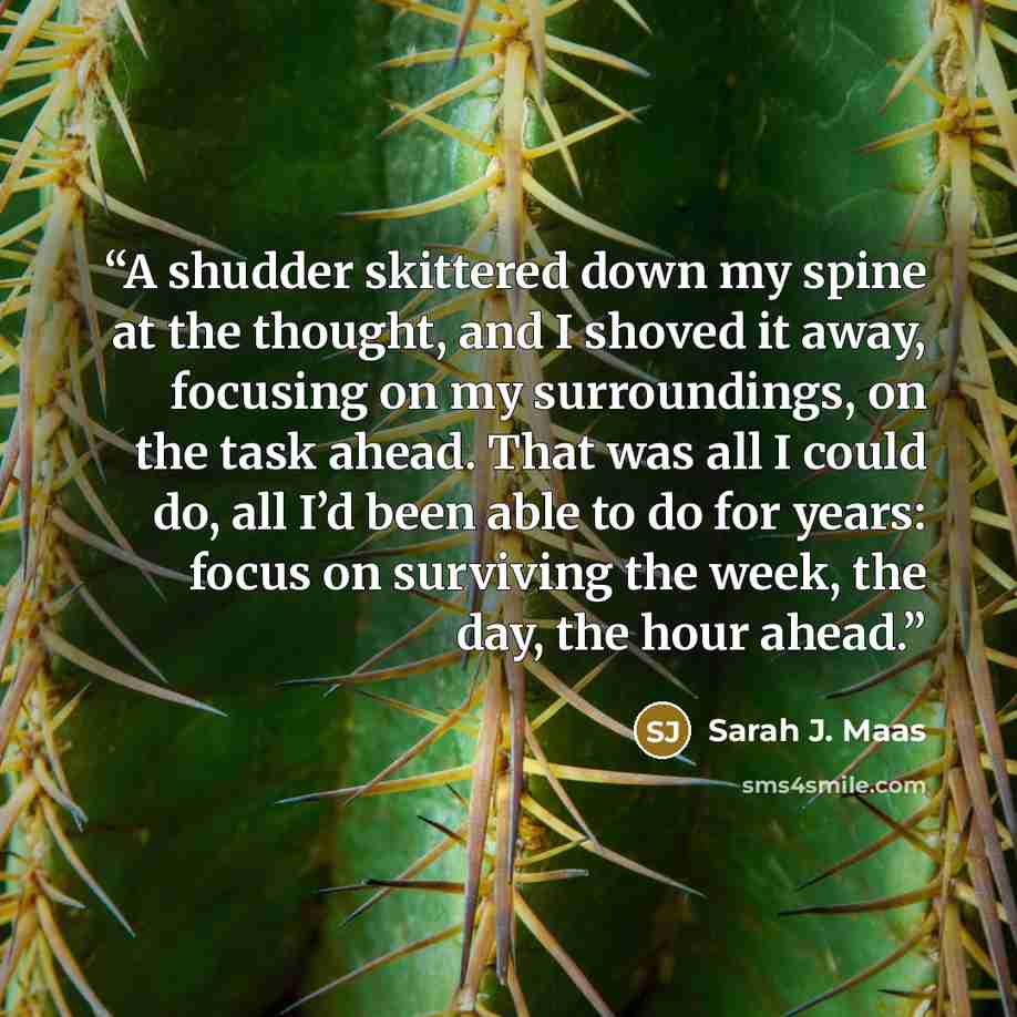 “A shudder skittered down my spine at the thought, and I shoved it away, focusing on my surroundings, on the task ahead. That was all I could do, all I’d been able to do for years: focus on surviving the week, the day, the hour ahead.” quote by Sarah J. Maas