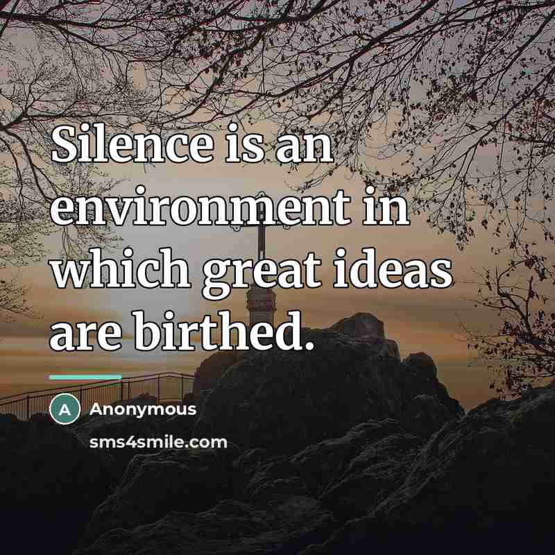 “Silence is an environment in which great ideas are birthed.…” quote by Anonymous