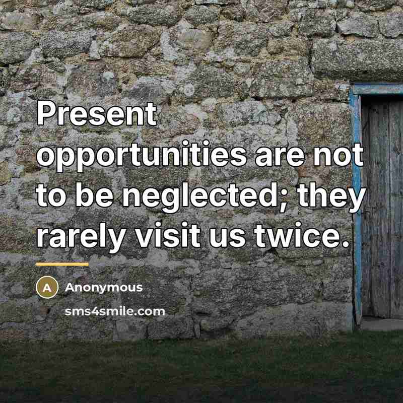 “Present opportunities are not to be neglected; they rarely visit…” quote by Anonymous