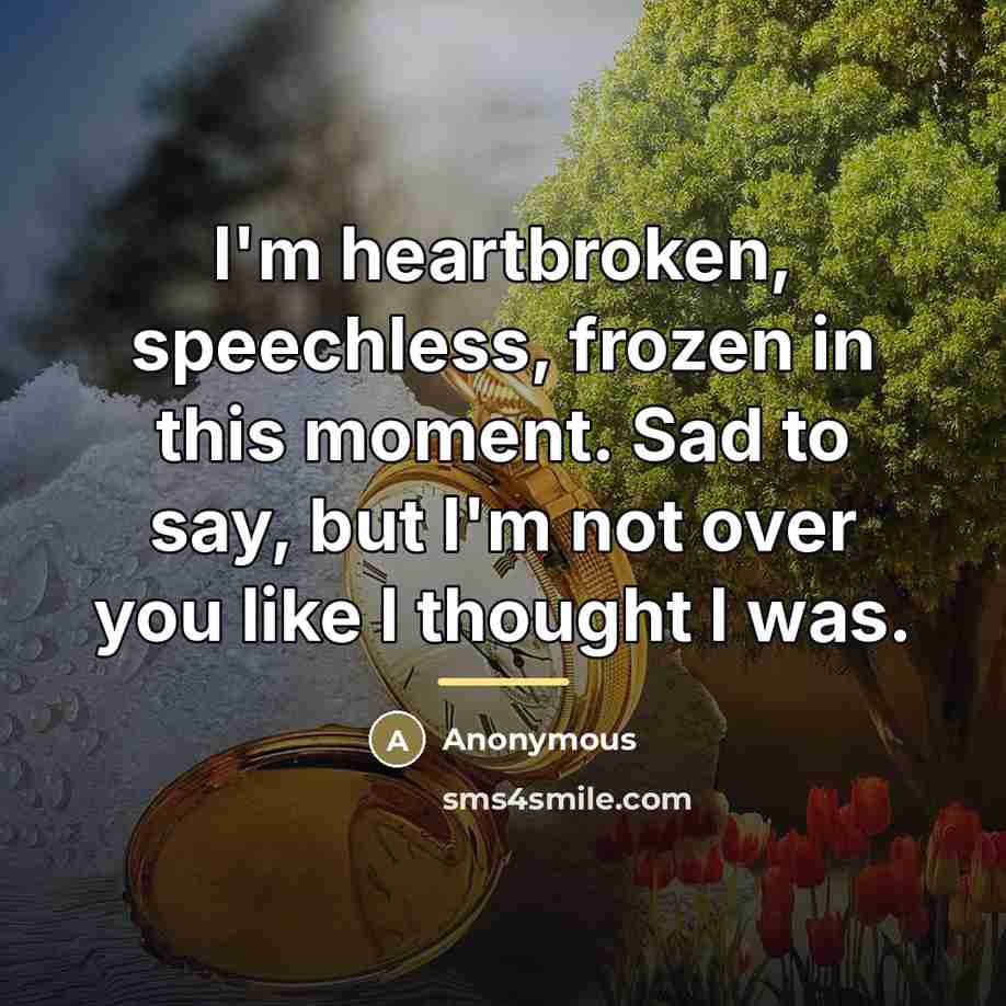 “I'm heartbroken, speechless, frozen in this moment. Sad to say,…” quote by Anonymous