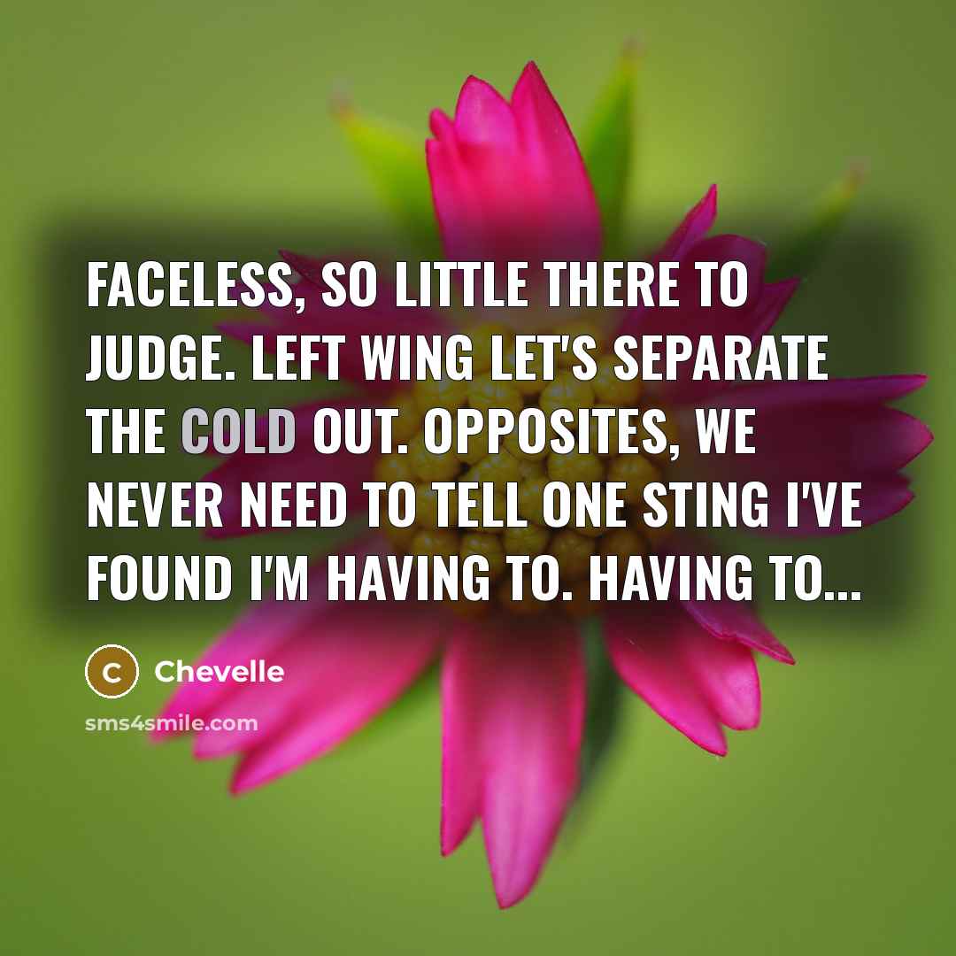“Faceless, so little there to judge. Left wing let's separate…” quote by Chevelle