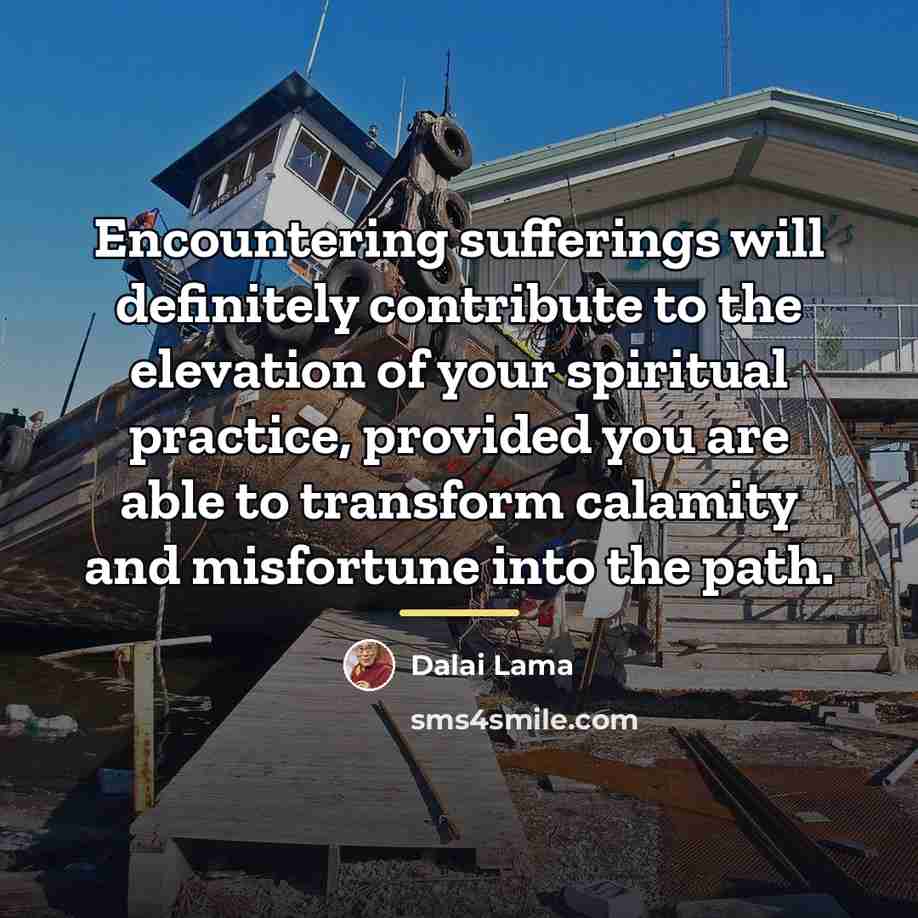 “Encountering sufferings will definitely contribute to the elevation of your…” quote by Dalai Lama