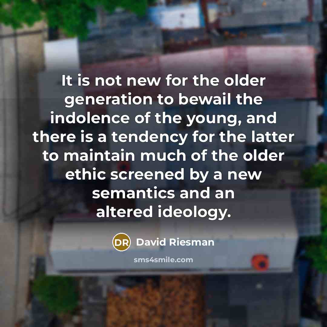 “It is not new for the older generation to bewail…” quote by David Riesman