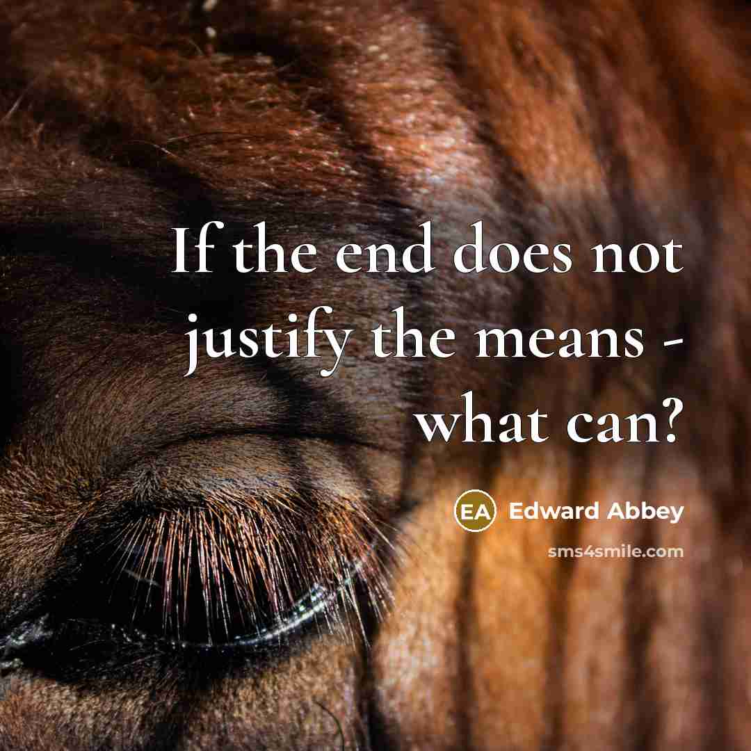 “If the end does not justify the means - what…” quote by Edward Abbey