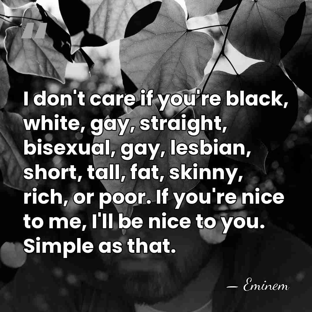 I don't care if you're black, white, gay, straight, bisexual, gay, lesbian,&hellip; - Eminem