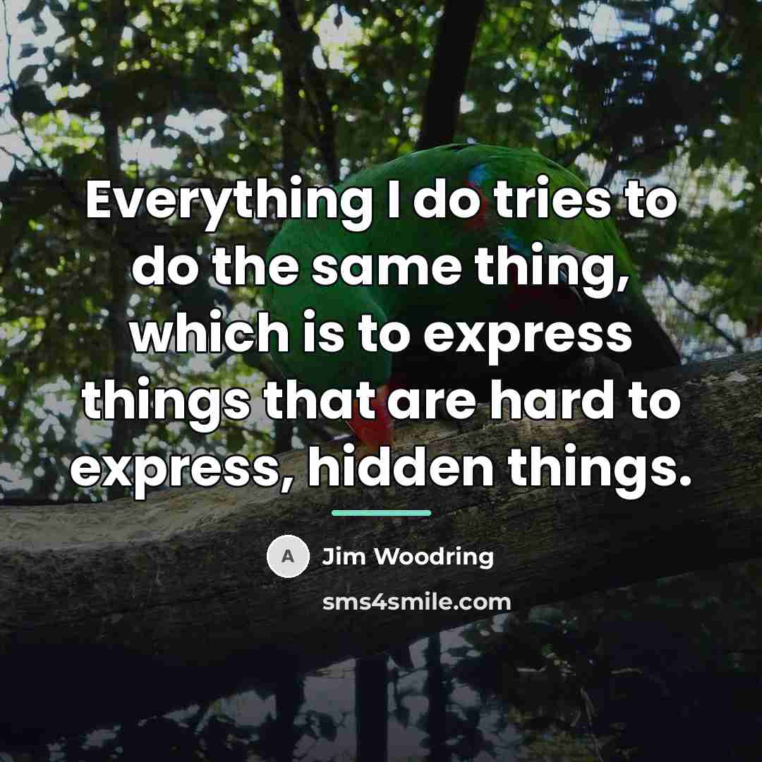 “Everything I do tries to do the same thing, which…” quote by Jim Woodring