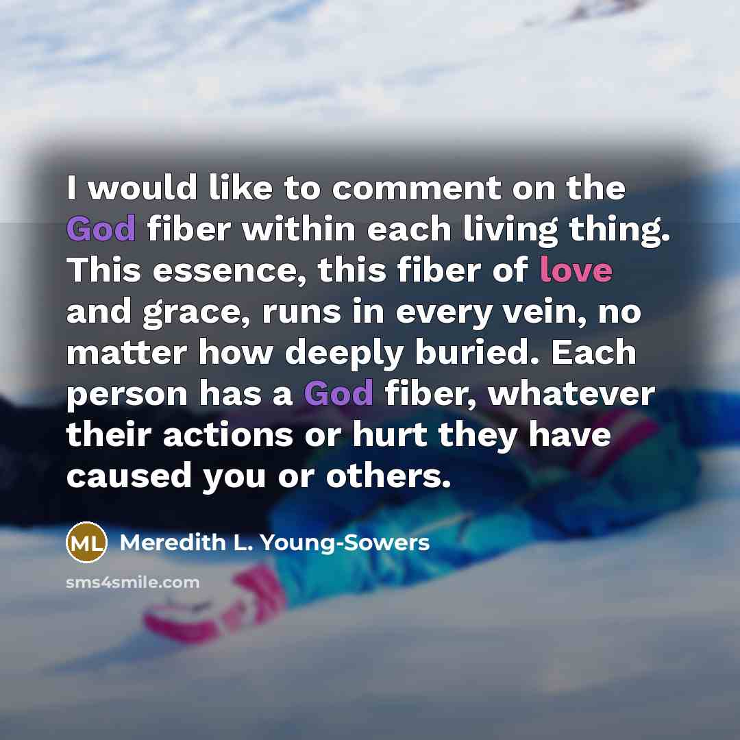 “I would like to comment on the God fiber within…” quote by Meredith L. Young-Sowers