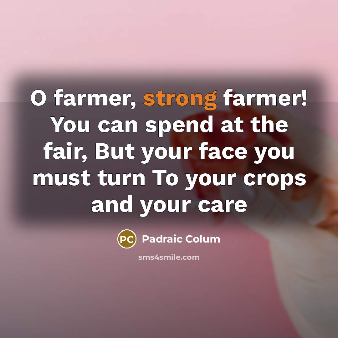“O farmer, strong farmer! You can spend at the fair,…” quote by Padraic Colum