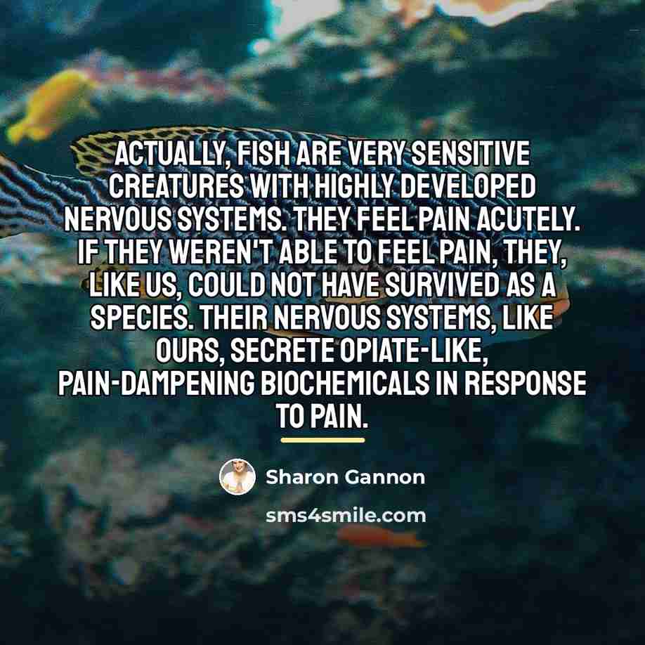 “Actually, fish are very sensitive creatures with highly developed nervous…” quote by Sharon Gannon