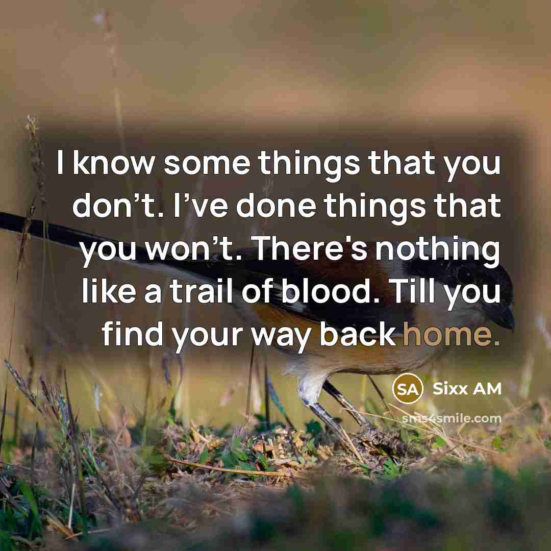 “I know some things that you don't. I've done things that you won't. There's nothing like a trail of blood. Till you find your way back home.” quote by Sixx AM