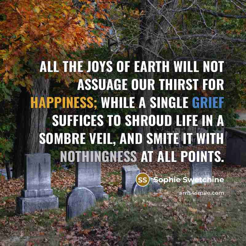 “All the joys of earth will not assuage our thirst…” quote by Sophie Swetchine