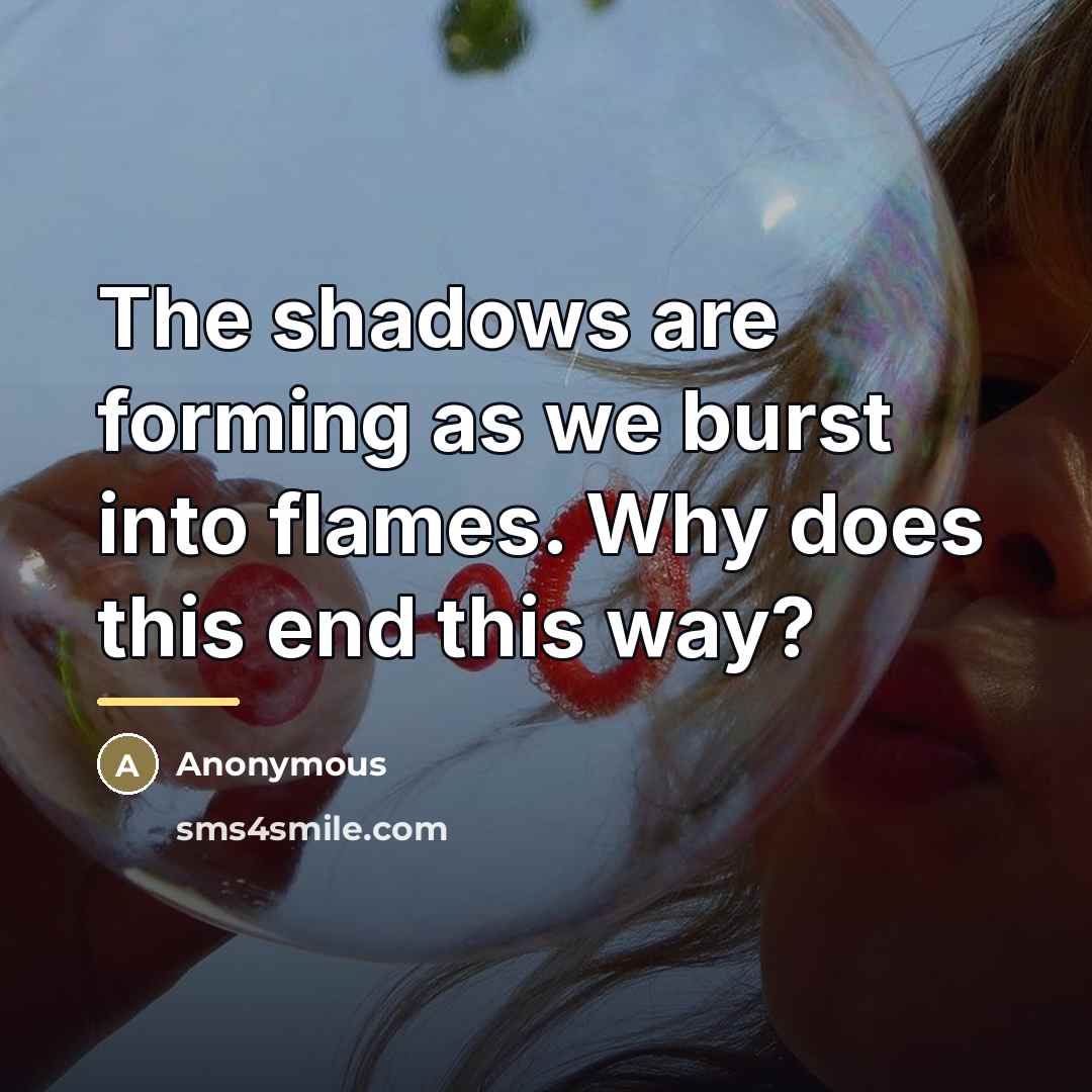 “The shadows are forming as we burst into flames. Why…” quote by Anonymous