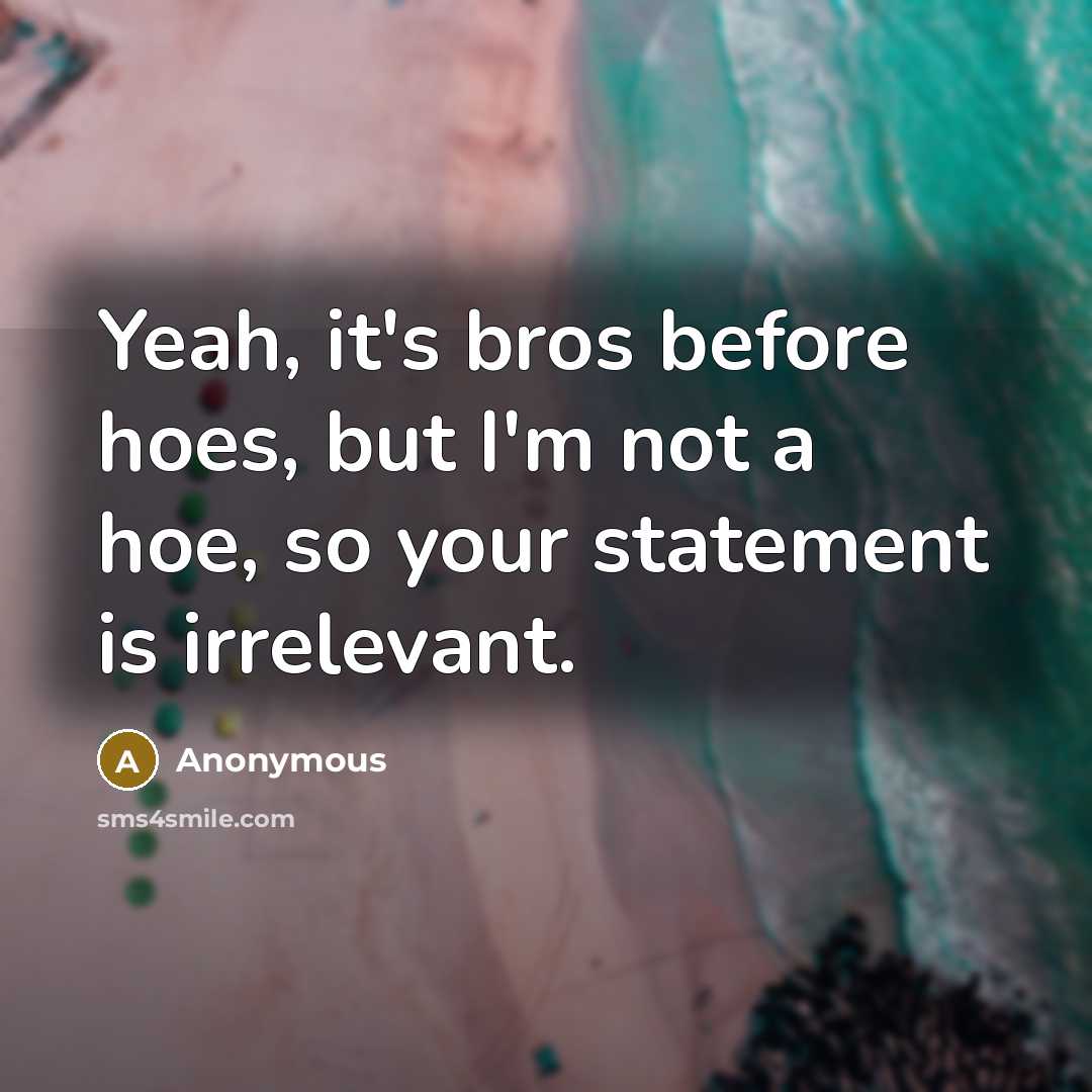 “Yeah, it's bros before hoes, but I'm not a hoe, so your statement is irrelevant.” quote by Anonymous