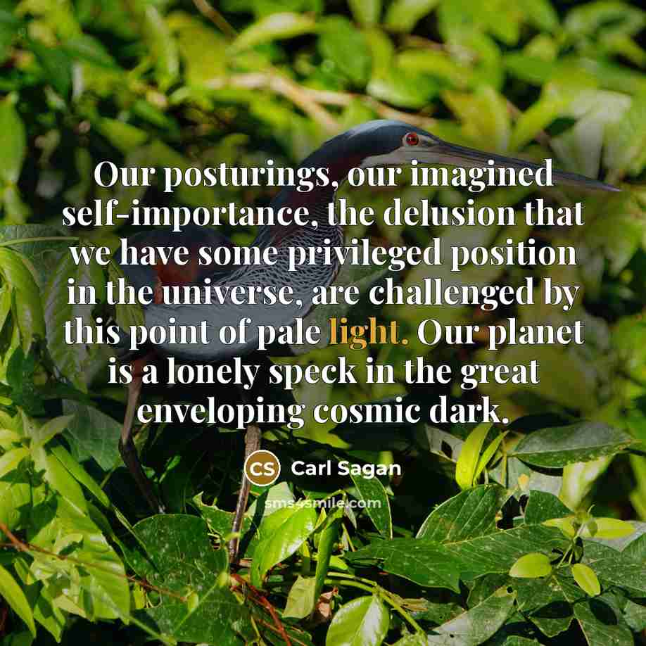“Our posturings, our imagined self-importance, the delusion that we have…” quote by Carl Sagan