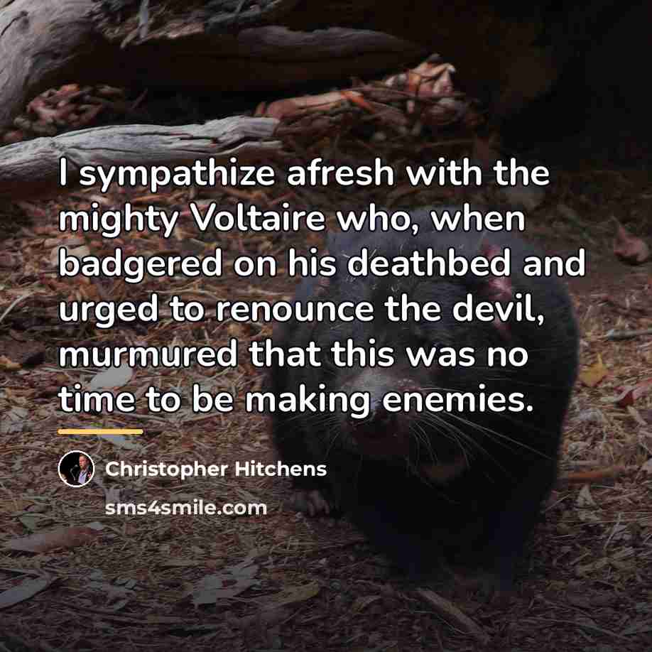 “I sympathize afresh with the mighty Voltaire who, when badgered…” quote by Christopher Hitchens